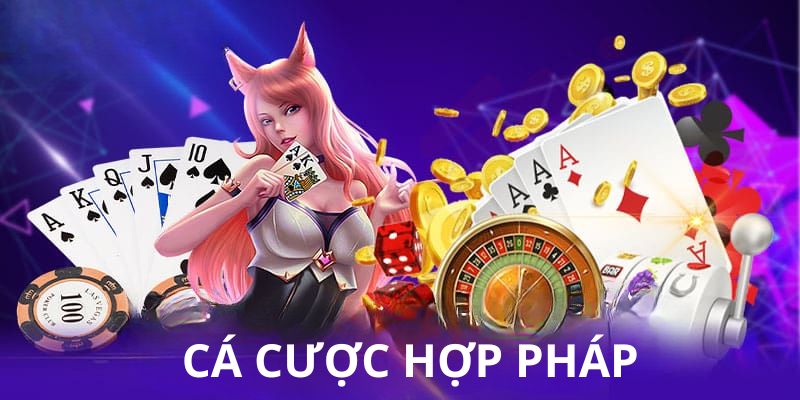 Nhà cái đảm bảo hoạt động cá cược hợp pháp, tuân theo pháp luật